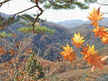 邵陽最新規(guī)劃揭秘，田江大橋的崛起及其影響