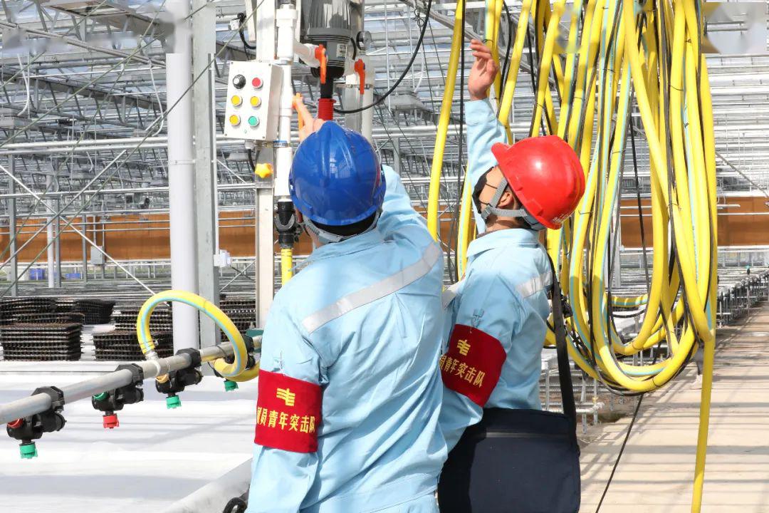 草海機(jī)場(chǎng)最新動(dòng)態(tài)揭秘，建設(shè)進(jìn)展、航班信息及未來展望