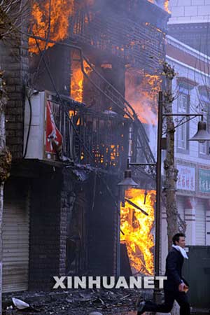 西藏最新事件，雪域高原的溫馨日常觀察
