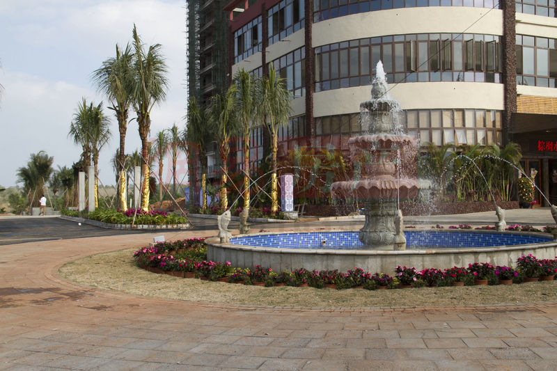 棕櫚水城最新動態(tài)，塑造理想生活新標(biāo)桿！