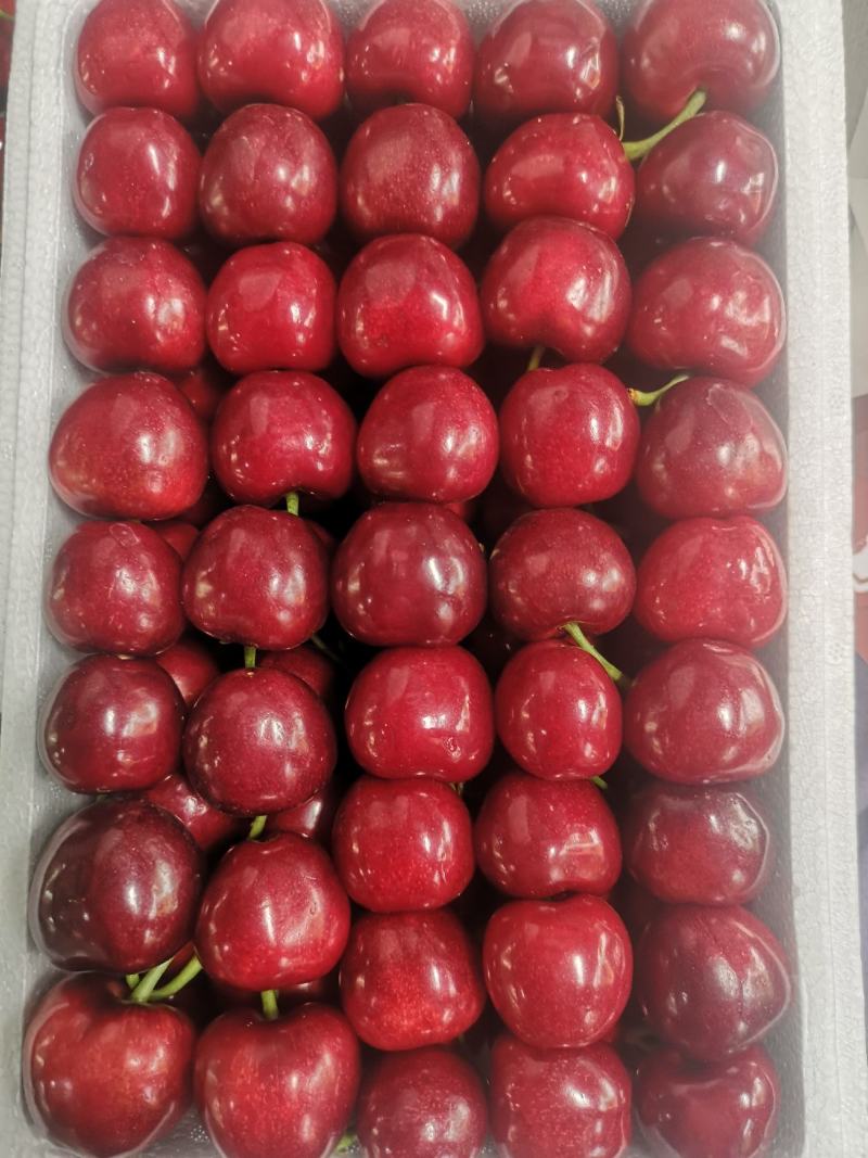 工程廠房燈具 第341頁