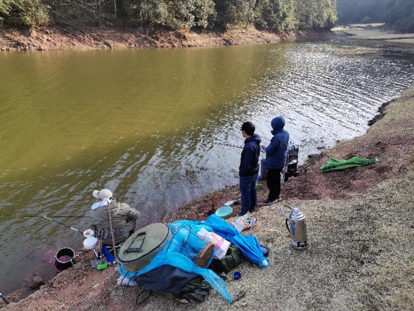 最新水庫釣魚視頻，探索釣魚樂趣與技巧全攻略