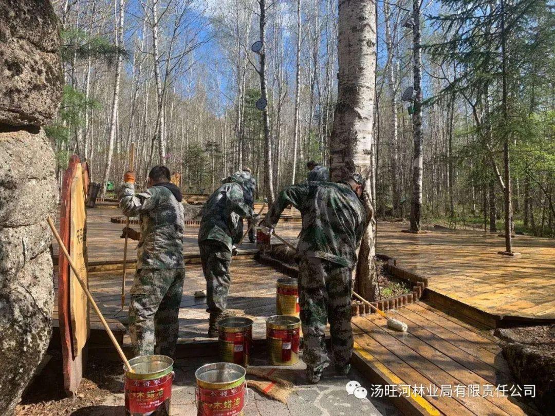 探尋神秘寶石世界的獨(dú)特魅力，最新奇石新聞報道