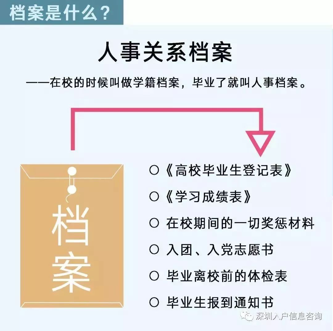 檔案人員補貼最新觀點論述，探討補貼政策與檔案人員發(fā)展的關(guān)系