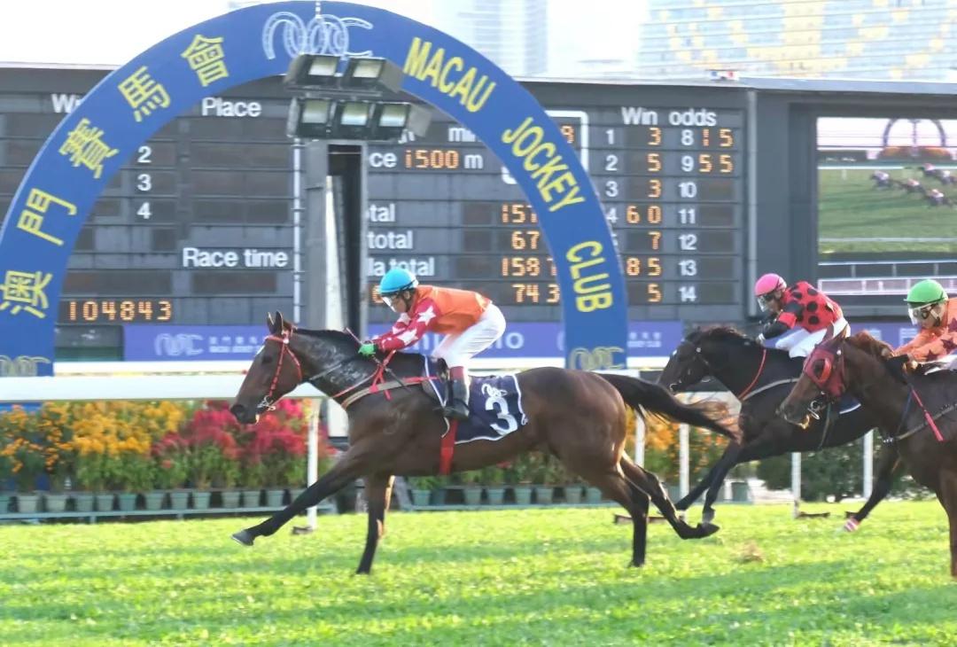 馬會(huì)澳門(mén)一傳真,專業(yè)解讀方案實(shí)施_CSF27.813原創(chuàng)版