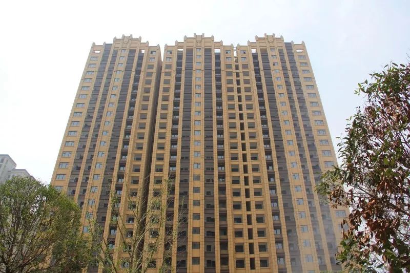 紫荊城邦最新動態(tài)，揭開未來生活新篇章的序幕