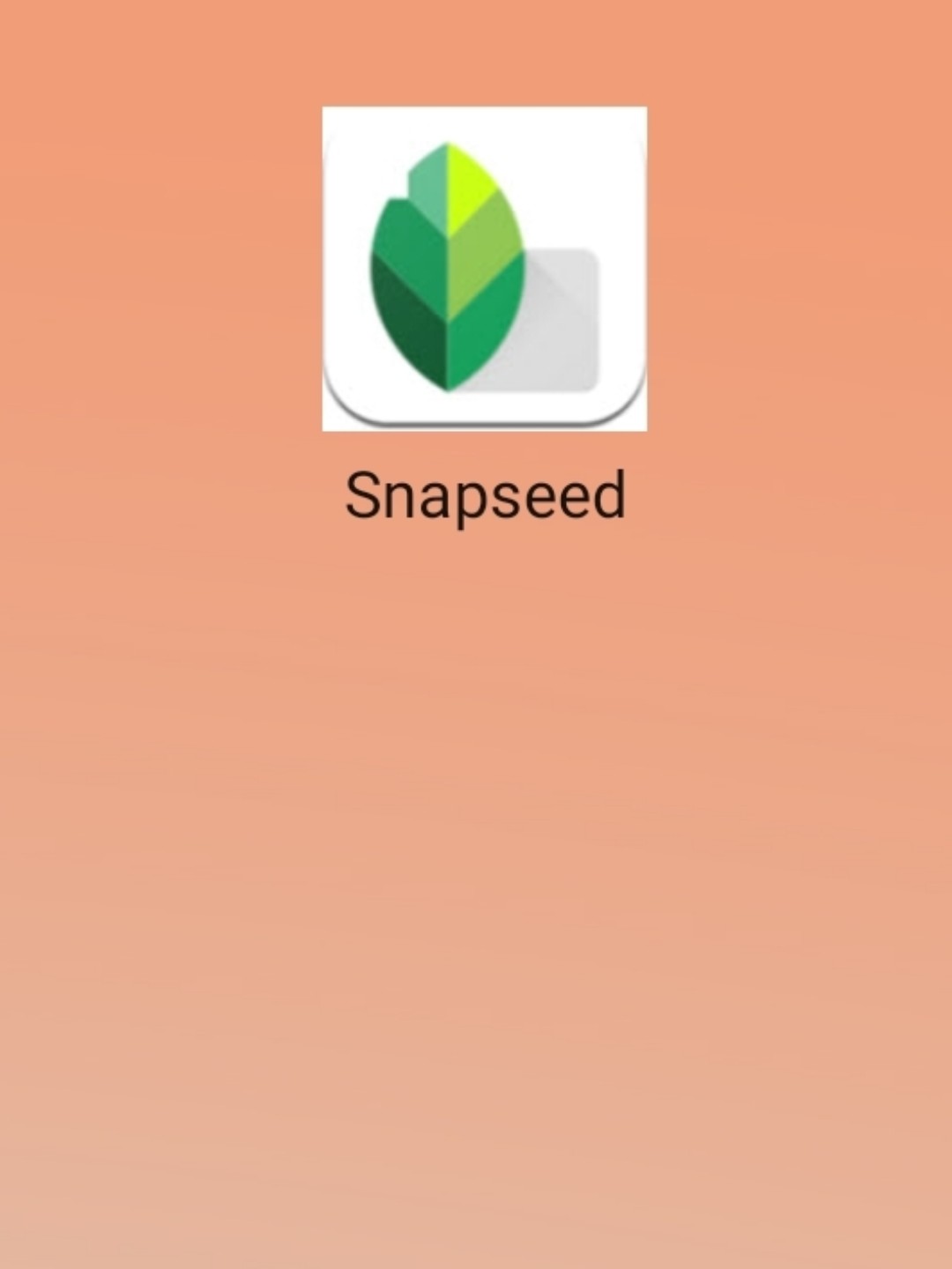 最新snapseed中文版，科技重塑影像，讓生活因攝影更精彩