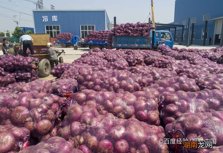 工程廠房燈具 第306頁(yè)