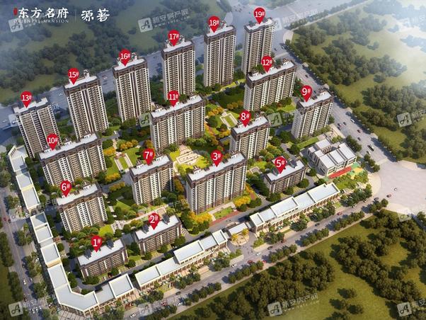 明光東郡最新動態(tài)，友情的綻放與家的溫馨日常