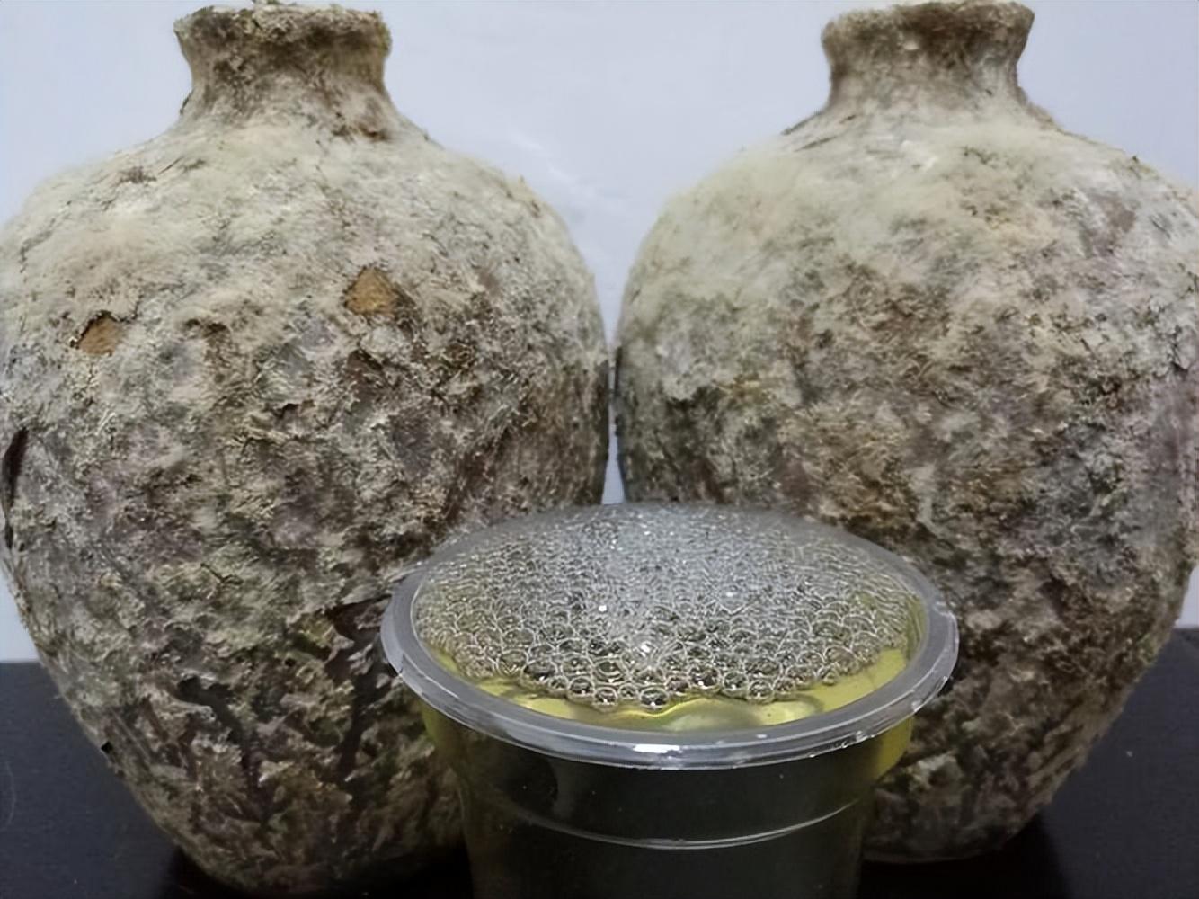 仁懷房屋出售最新信息，科技與家居融合，未來家居新體驗重磅推出