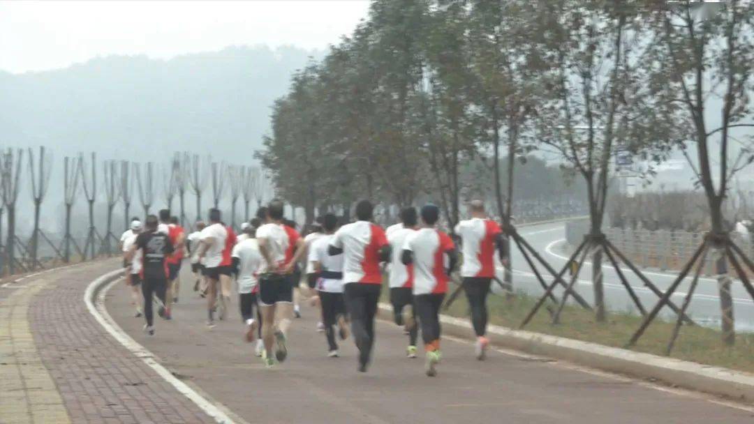 古田環(huán)湖路最新動態(tài)揭秘，時代脈搏與城市發(fā)展的融合之路