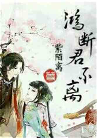 沈南汐最新小說(shuō)，知識(shí)的力量，成就夢(mèng)想的翅膀之路