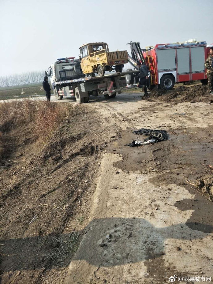 泗縣車禍悲劇，警醒與深思背后的最新新聞報(bào)道