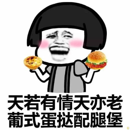 小巷深處的歡樂小鋪，最新幽默搞笑圖片大放送