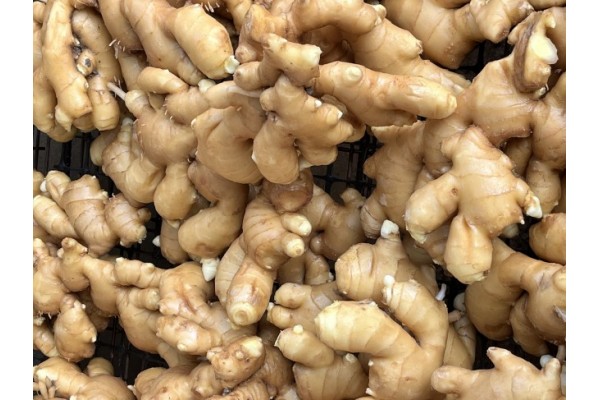 昌邑生姜市場(chǎng)最新價(jià)格指南，全面了解生姜市場(chǎng)行情與價(jià)格動(dòng)態(tài)