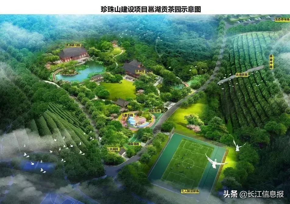 岳陽北港小學(xué)最新動態(tài)揭秘，校園新聞與活動更新