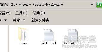 Jav最新網(wǎng)址探索，小巷深處的獨特風味之旅