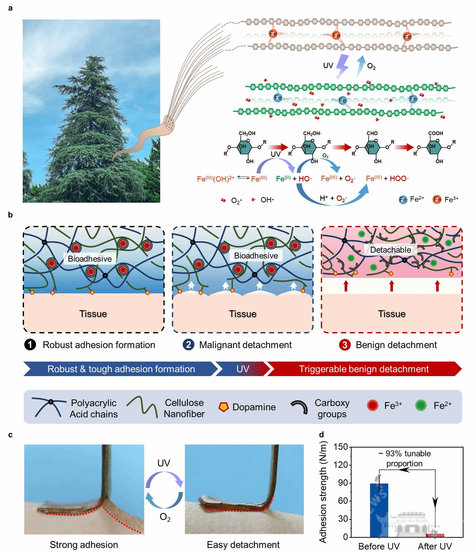 2024新澳門原料免費大全,創(chuàng)新策略設(shè)計_硬件版77.555