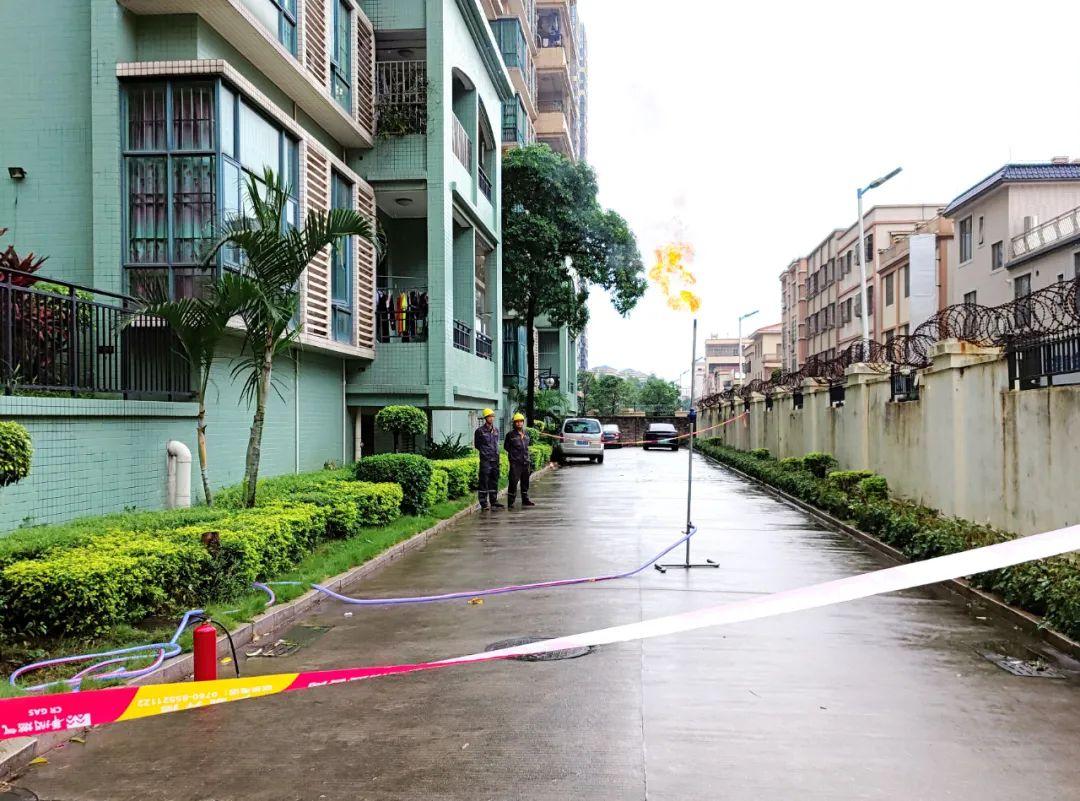 中山東鳳佛奧最新動態(tài)，自然美景的探索之旅，尋找內(nèi)心平和與寧靜