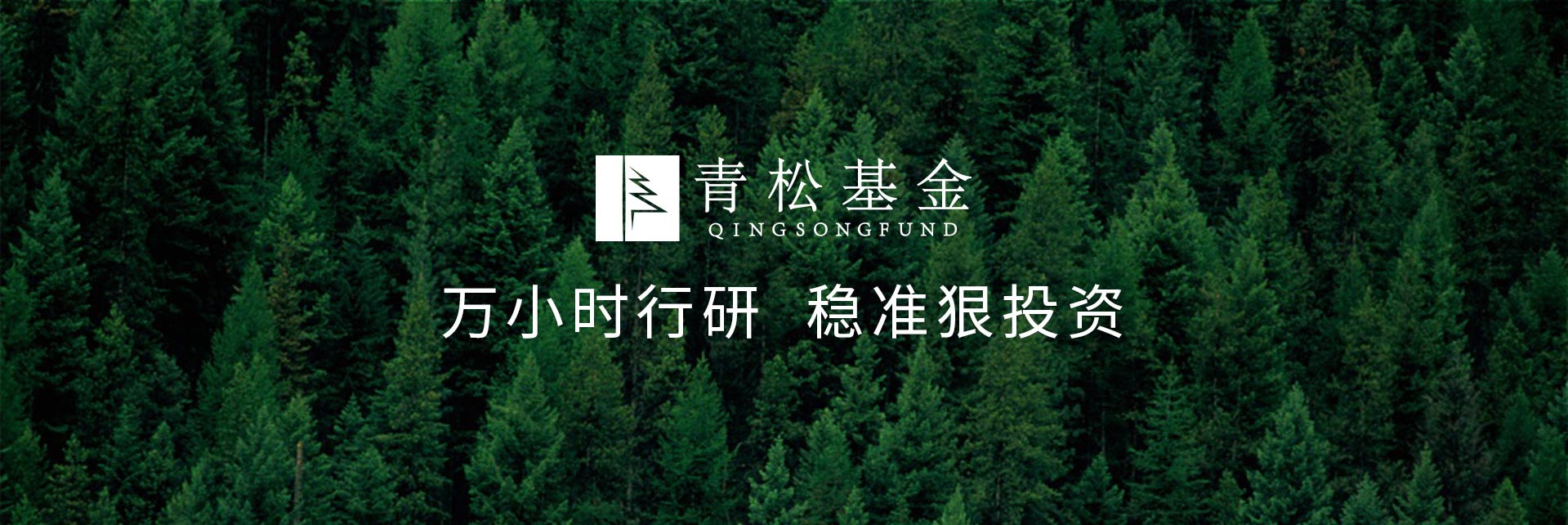 長青樹眾籌最新動(dòng)態(tài)，背景、發(fā)展與時(shí)代地位探索