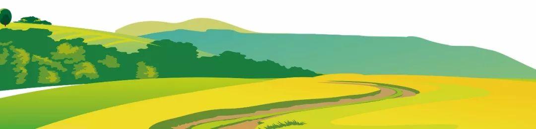 藍(lán)田縣未來藍(lán)圖，最新發(fā)展規(guī)劃揭秘