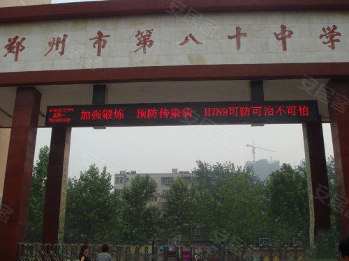 中原區(qū)九龍城最新動態(tài)深度解析，最新進展與觀點闡述