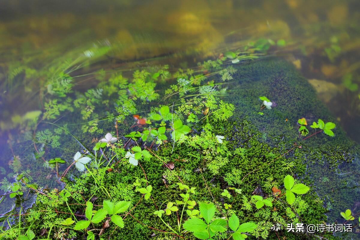 南山高樓崛起，背景、發(fā)展與時(shí)代地位全景解析