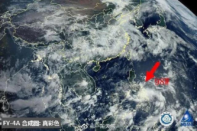 臺風(fēng)鸚鵡的最新動態(tài)，逆風(fēng)翱翔的力量與學(xué)習(xí)魅力