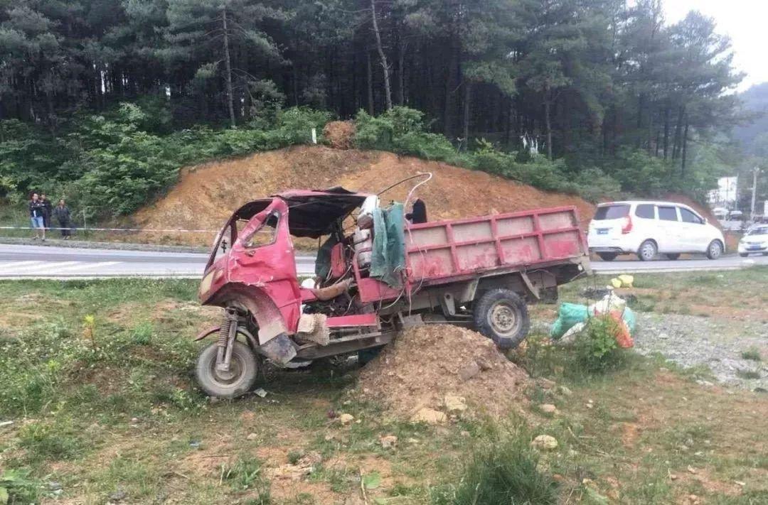 平山事故背后的溫馨故事，友情、愛與陪伴的奇遇