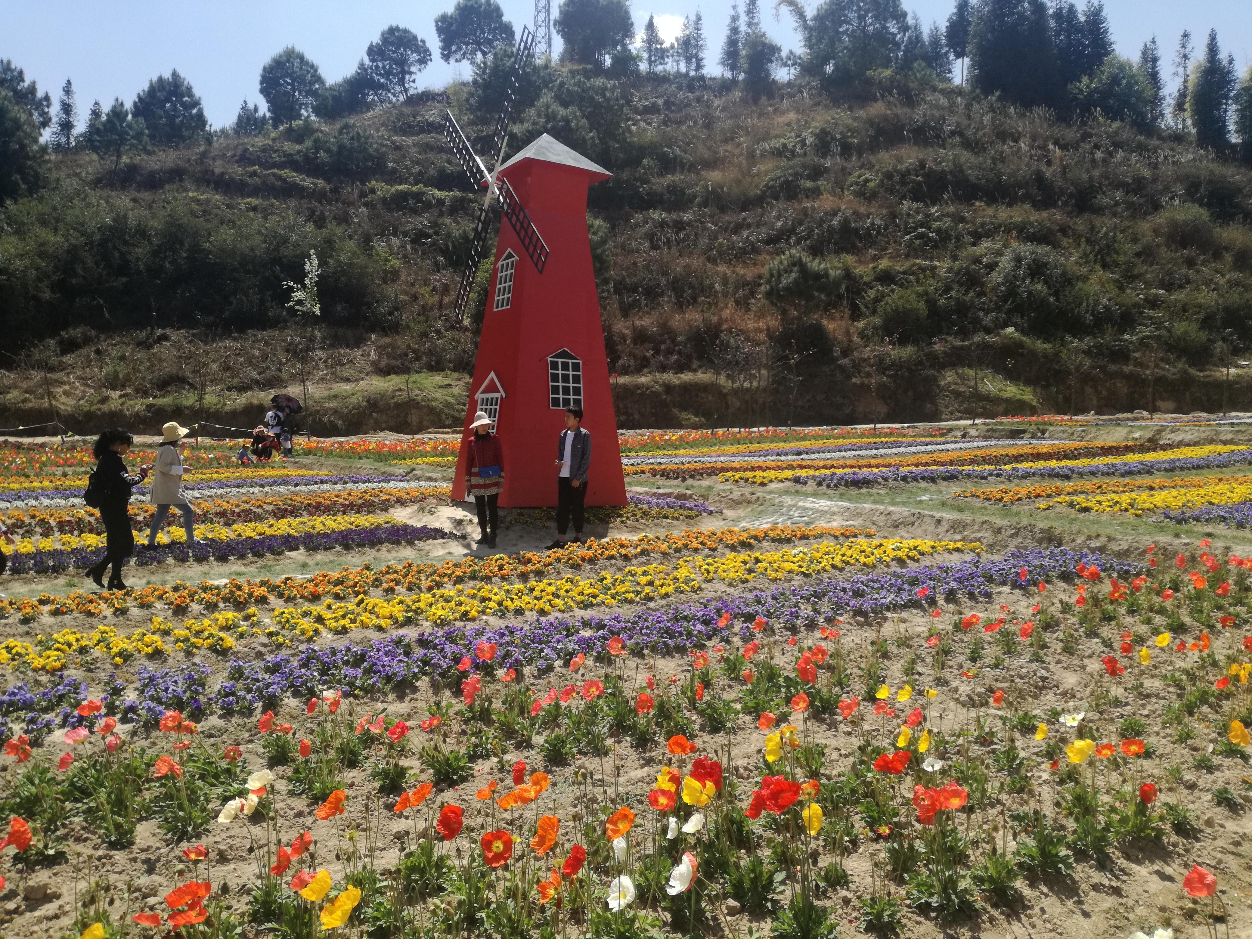 臨滄市最新探索，自然美景之旅，尋找內(nèi)心平和的旅程