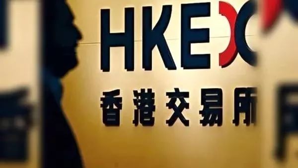 海外歸來最新動態(tài)，全面解讀最新資訊