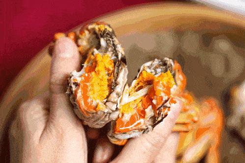 ??陽澄湖螃蟹上市季節(jié)情報，吃貨必知的秋季美味盛宴！??