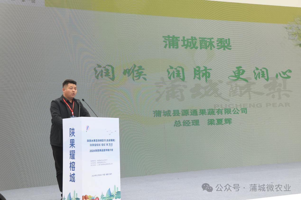 梨城資訊速遞，探索梨城新動(dòng)態(tài)與發(fā)展趨勢(shì)