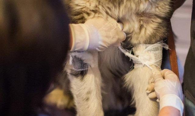 蘇州近期街邊情況，自然美景的心靈之旅體驗紀(jì)實