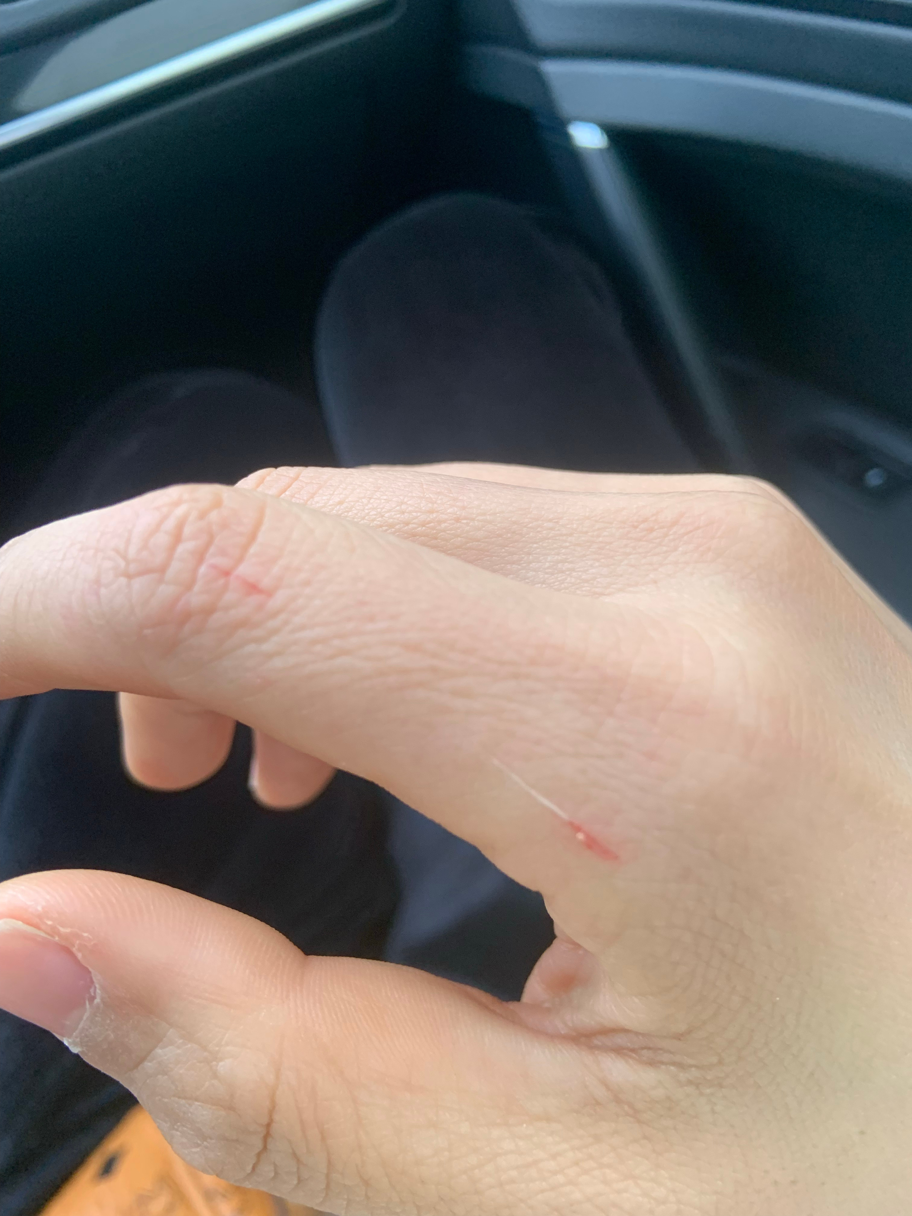 最新口子，開(kāi)啟學(xué)習(xí)之旅，擁抱變化的力量