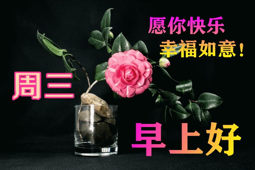 最新早晨問候動(dòng)態(tài)表情包，溫馨問候，從表情開始！