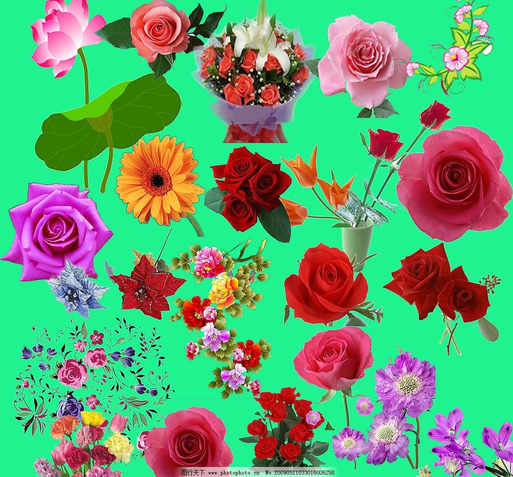 最新花款下載，愛與陪伴的溫馨之旅