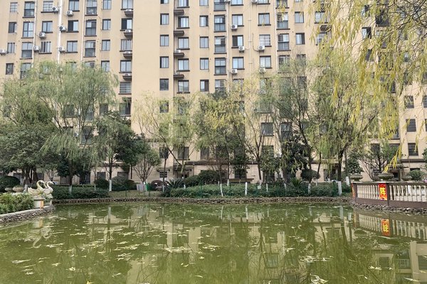 中豪明珠城最新價格，時代印記與城市的脈動