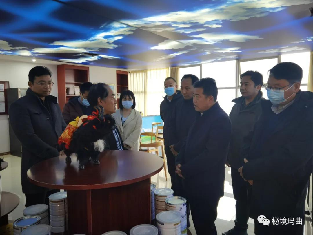 高原之寶上市，學(xué)習(xí)、蛻變與自信的輝煌之旅