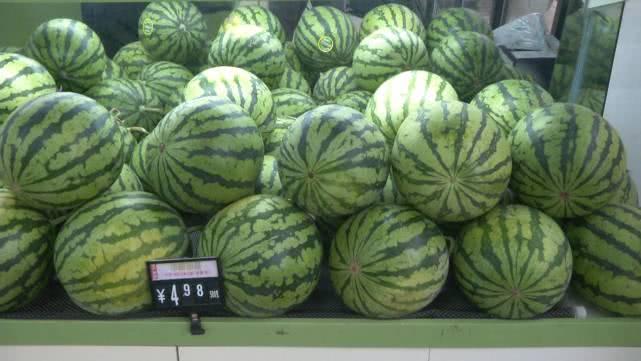 紅薯價格最新行情，市場機(jī)遇與自我超越的探尋之旅