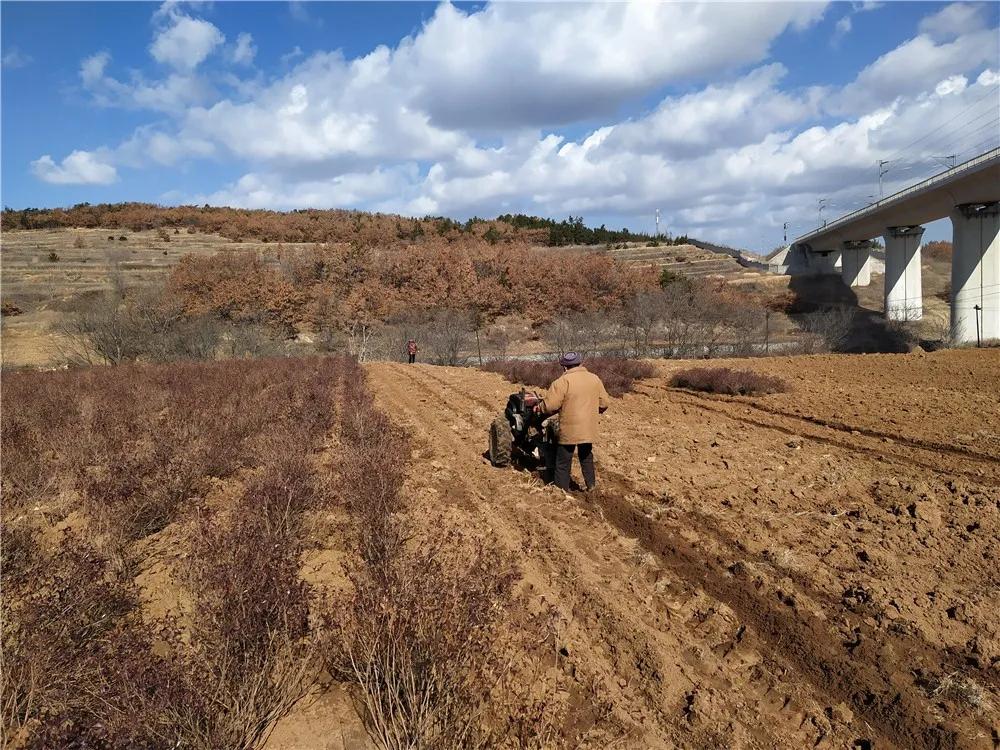揭秘衡陽(yáng)張家山規(guī)劃更新，小巷風(fēng)情與隱藏小店的獨(dú)特魅力