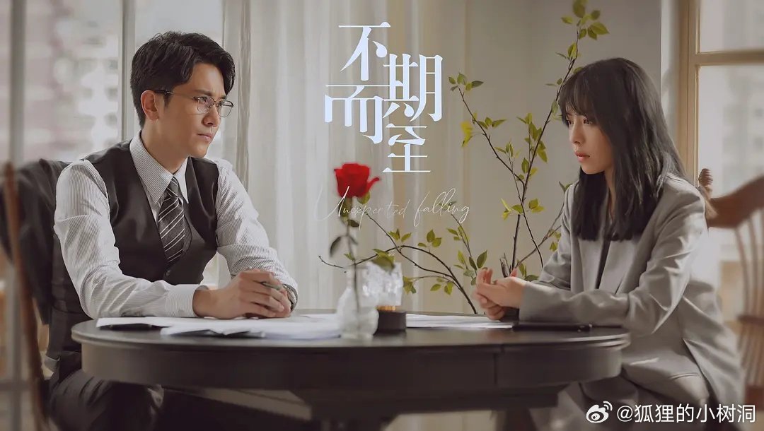 不期而至電視劇，從入門到進(jìn)階的觀看指南