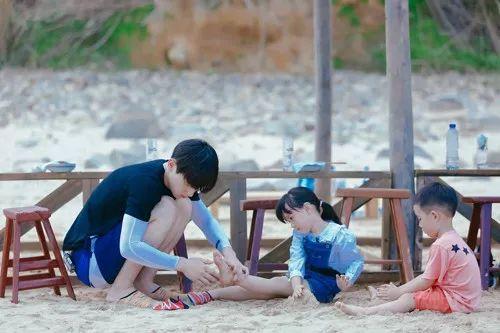 最新TV版資訊深度剖析，電視劇熱潮的影響力與影響