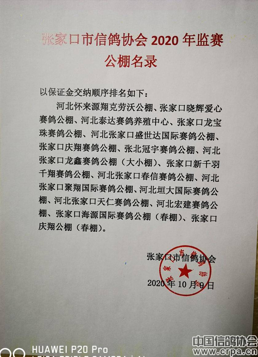 東光信鴿協(xié)會最新通告，小巷深處的獨(dú)特風(fēng)味揭秘與信鴿活動更新通知