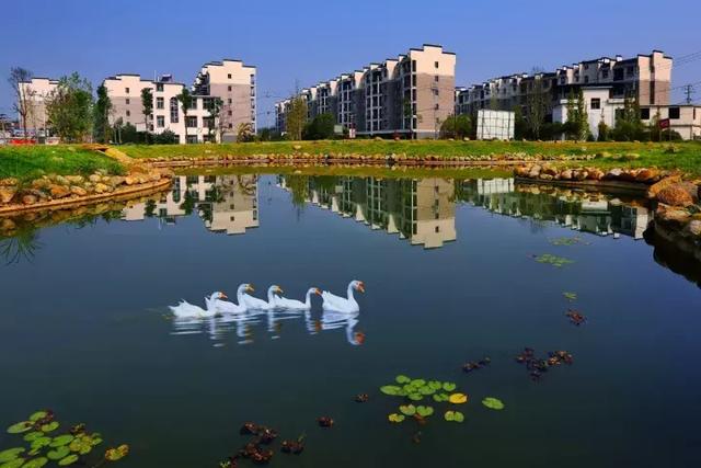 萍鄉(xiāng)安源湖，最新動態(tài)揭示湖畔變革與自我超越之旅