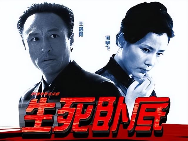 中國(guó)毒梟電視劇大全，友情與陪伴的溫馨日常之旅