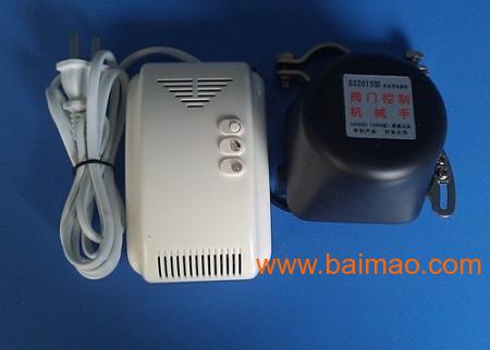 燃?xì)鈭?bào)警器價(jià)格深度探索，小巷獨(dú)特小店里的燃?xì)鈭?bào)警器價(jià)格揭秘！