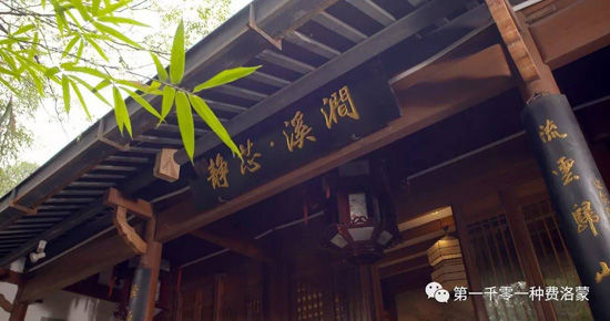 高密西湖茶樓最新資訊，一壺茶，品味溫情時光