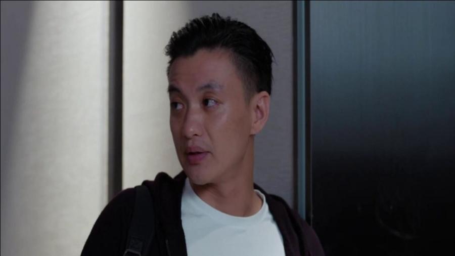 郭鑫年最新動(dòng)態(tài)揭秘，小巷特色小店探索之旅