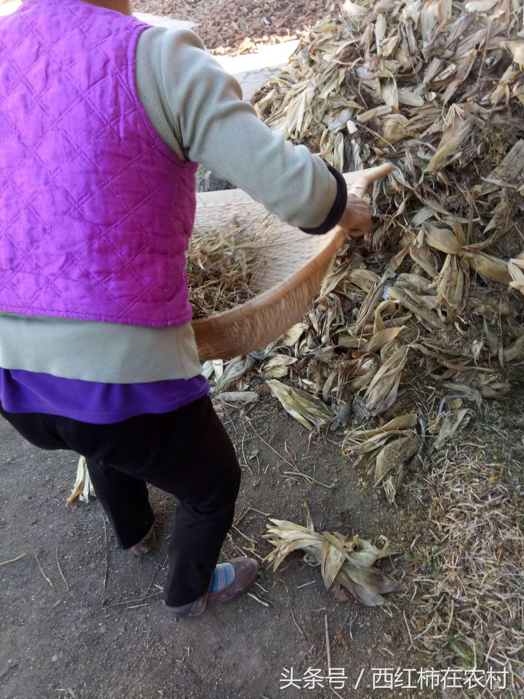 彬縣撤縣設區(qū)最新進展，最新動態(tài)更新